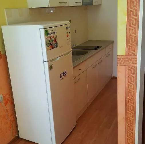 Haus Zarko Apartament Vir