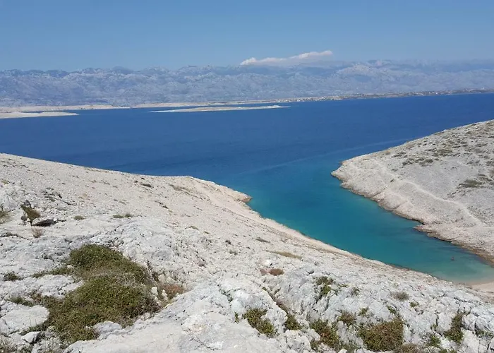 Apartman Haus Zarko Vir